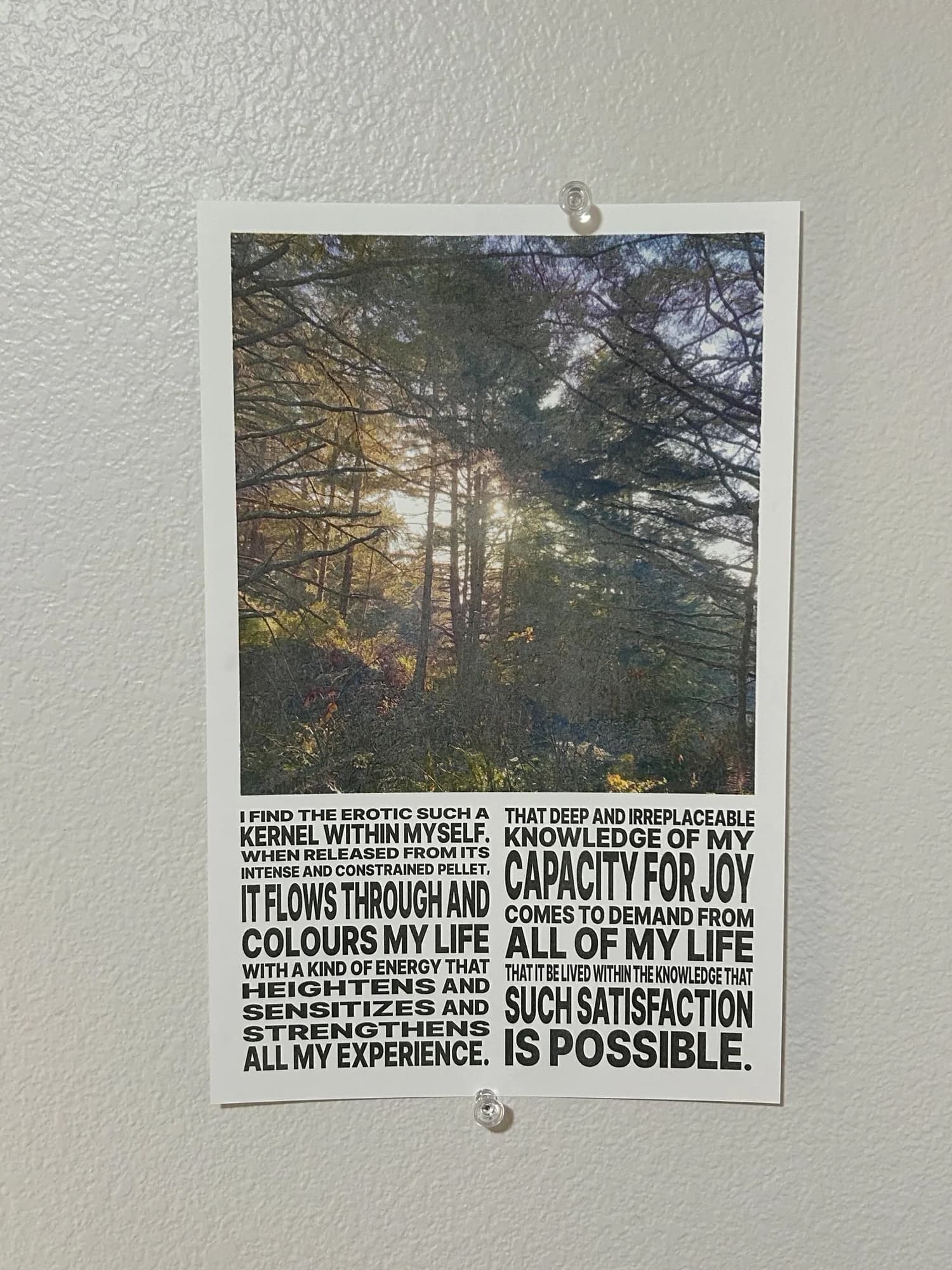 studio/poster.jpeg image 37